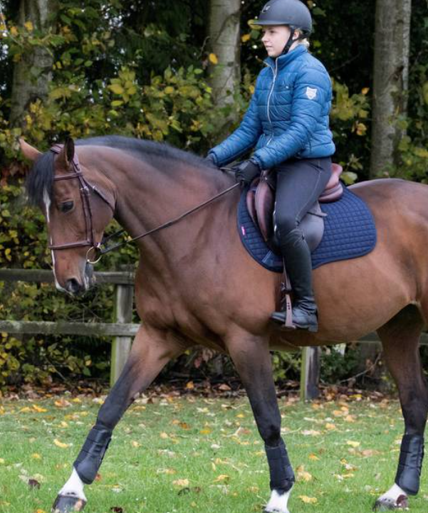 LeMieux Cotton GP Square Saddle Pad. Includes single embroidery on both sides.