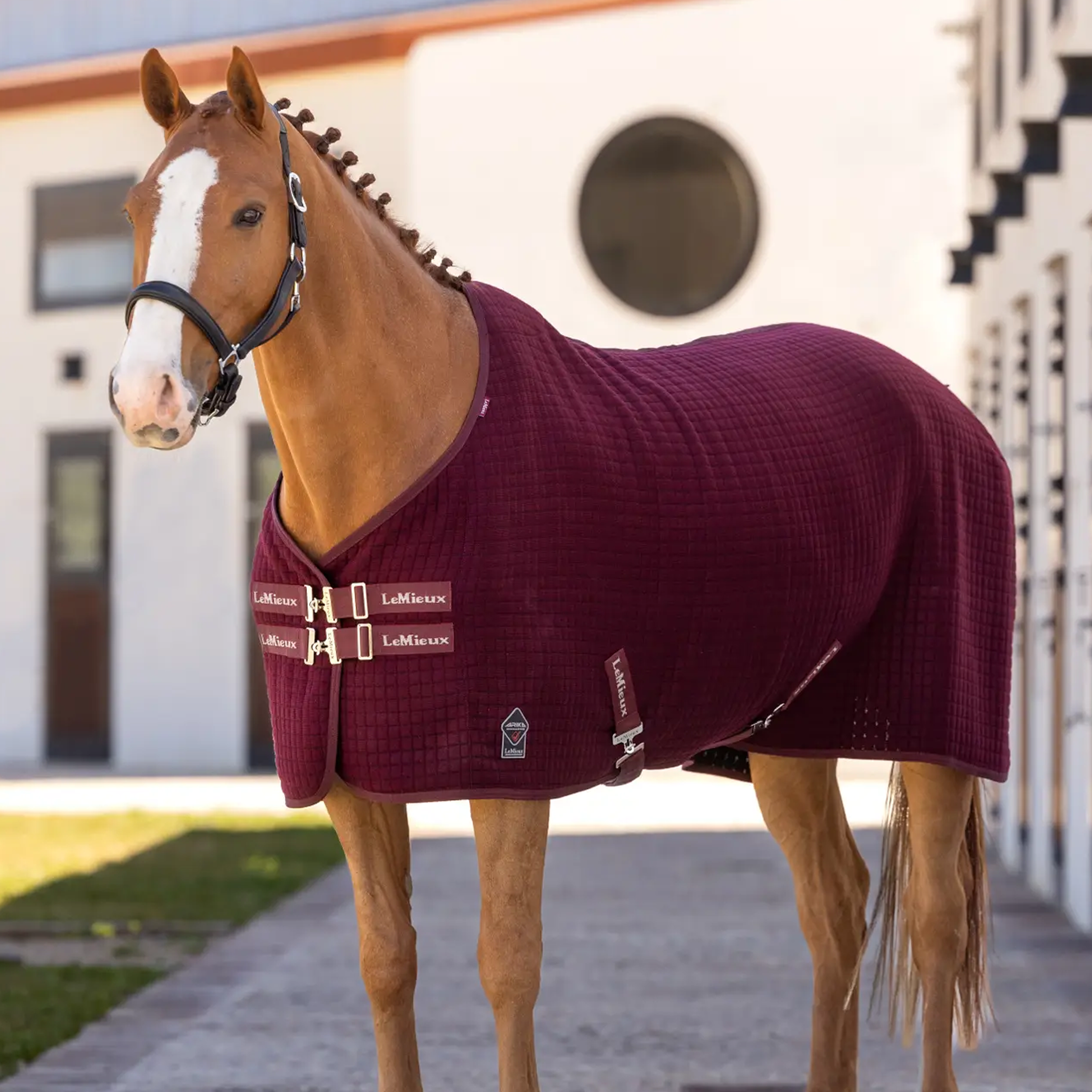 LeMieux Arika Clima-Tek Rug