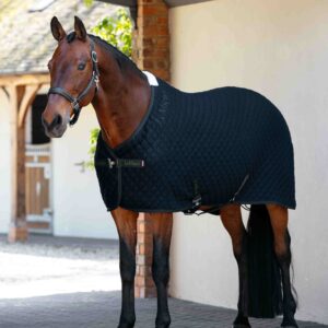 LeMieux Arika Clima-Tek Rug in Navy – view 1