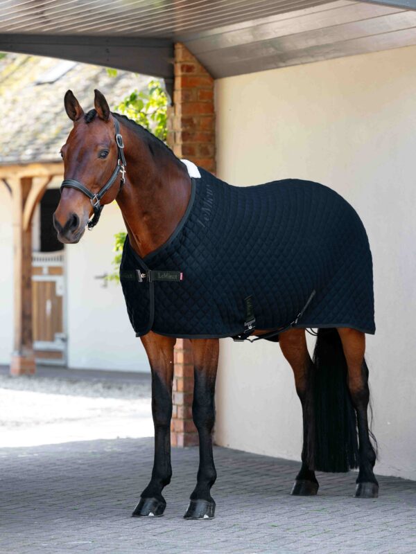 LeMieux Arika Clima-Tek Rug in Navy – view 1