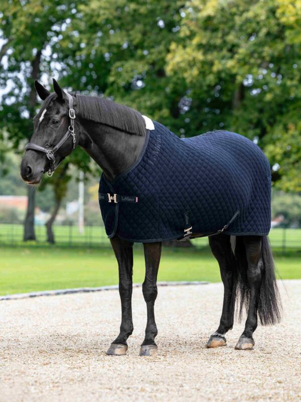 LeMieux Arika Clima-Tek Rug in Navy – view 2