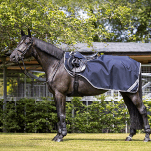 LeMieux Arika Exersize Sheet