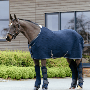 LeMieux Kudos 3D Mesh travel Rug