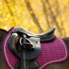 LeMieux Suede GP Square in Blackberry - view 4