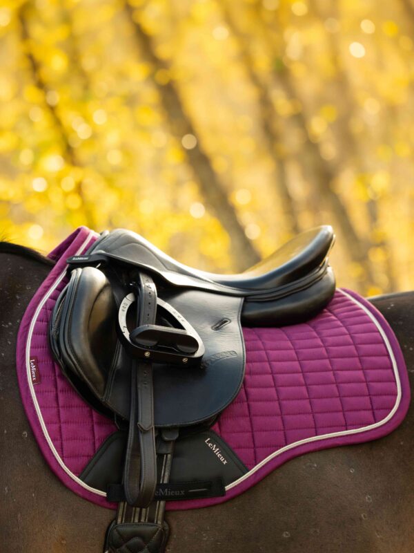 LeMieux Suede GP Square in Blackberry - view 4