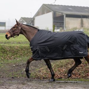 Rhinegold Nevada Outdoor Rug