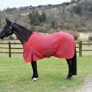 Rhinegold Cooler Rug