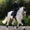 Premier Equine Close Contact Merino Wool European Dressage Saddle Pad in Black/Black Wool – view 5