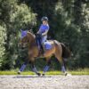 LeMieux Suede Dressage Square in Bluebell - view 1