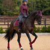 Premier Equine Close Contact Merino Wool European Dressage Saddle Pad in Burgundy/Navy Wool – view 5