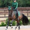 Premier Equine Close Contact Merino Wool European Dressage Saddle Pad in Green/Green Wool – view 5