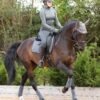 Premier Equine Close Contact Merino Wool European Dressage Saddle Pad in Grey/Black Wool – view 5