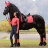 LeMieux Suede Dressage Square in Cranberry - view 1