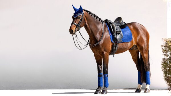 LeMieux Suede Dressage Square in Benetton Blue - view 1