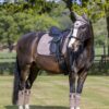 LeMieux Suede Dressage Square in Mink - view 2
