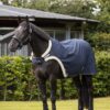 LeMieux Walker Rug in Navy – view 1