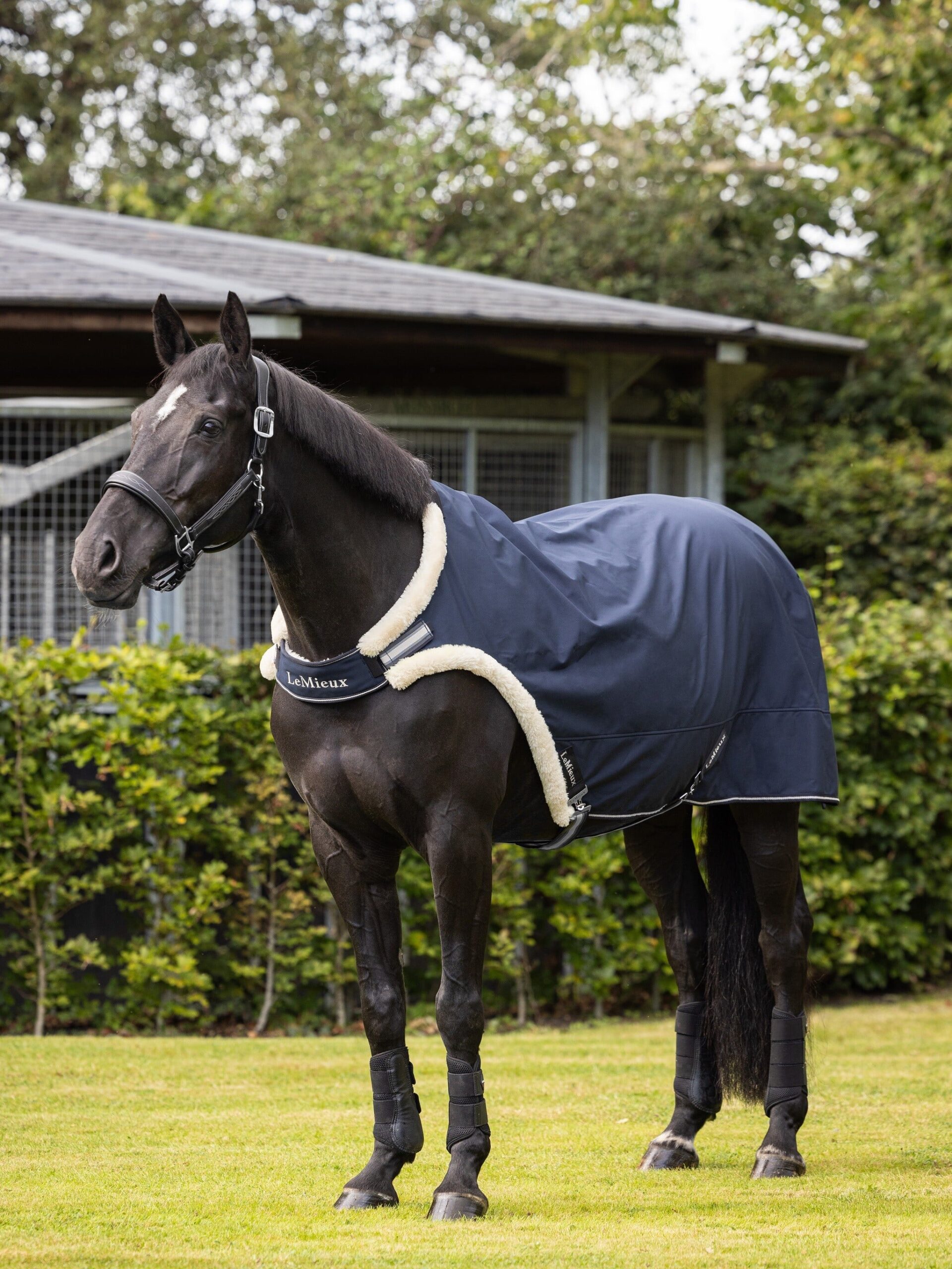 LeMieux Walker Rug in Navy – view 1