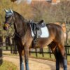 LeMieux Suede Dressage Square in Glacier - view 3