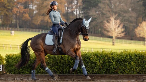 LeMieux Suede Dressage Square in Glacier - view 4