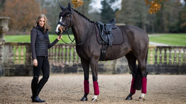 LeMieux Suede Dressage Square in Cinder - view 1