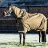 LeMieux Arika Ripstop 200g Turnout Rug in Alpine - view 1