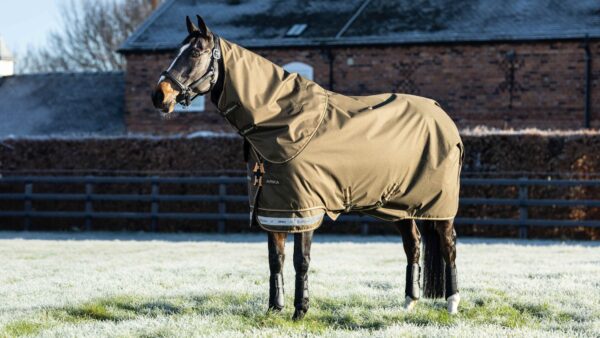 LeMieux Arika Ripstop 200g Turnout Rug in Alpine - view 1