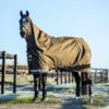 LeMieux Arika Ripstop 100g Turnout Rug in Alpine - view 2