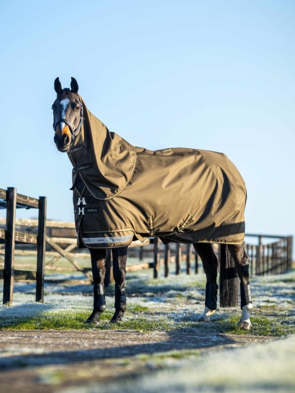 LeMieux Arika Ripstop 100g Turnout Rug in Alpine - view 2