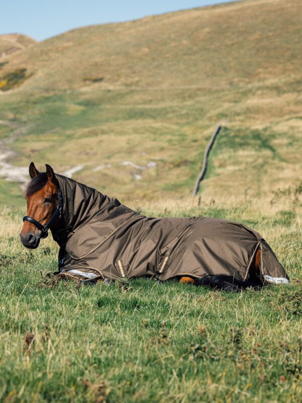 LeMieux Arika Ripstop 100g Turnout Rug in Alpine - view 3