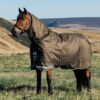 LeMieux Arika Ripstop 100g Turnout Rug in Alpine - view 1