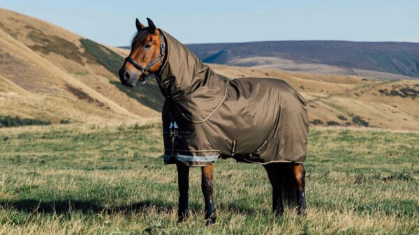 LeMieux Arika Ripstop 100g Turnout Rug in Alpine - view 1