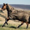 LeMieux Arika Ripstop 0g Turnout Rug in Alpine - view 1