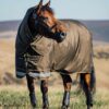 LeMieux Arika Ripstop 200g Turnout Rug in Alpine - view 3
