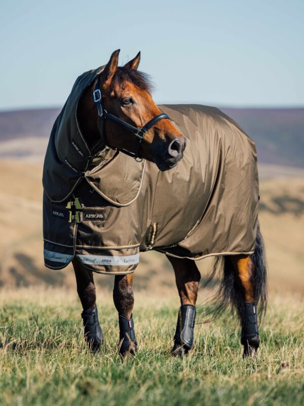 LeMieux Arika Ripstop 200g Turnout Rug in Alpine - view 3
