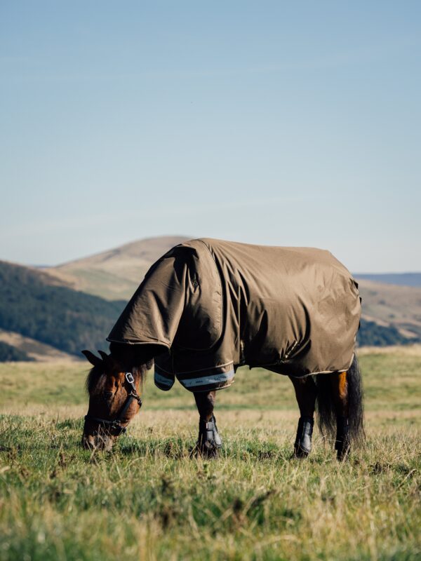 LeMieux Arika Ripstop 0g Turnout Rug in Alpine - view 3
