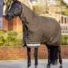 LeMieux Arika Ripstop 0g Turnout Rug in Alpine - view 2