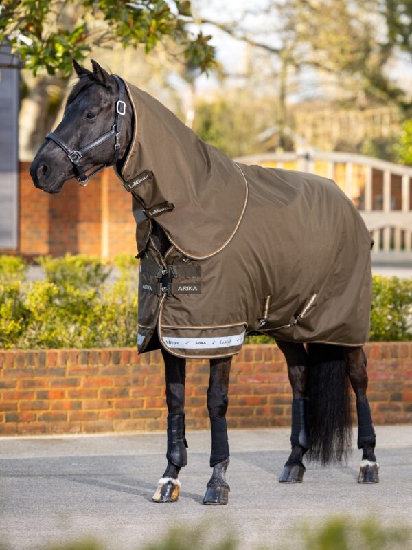 LeMieux Arika Ripstop 0g Turnout Rug in Alpine - view 2