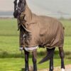 LeMieux Arika Ripstop 200g Turnout Rug in Alpine - view 2