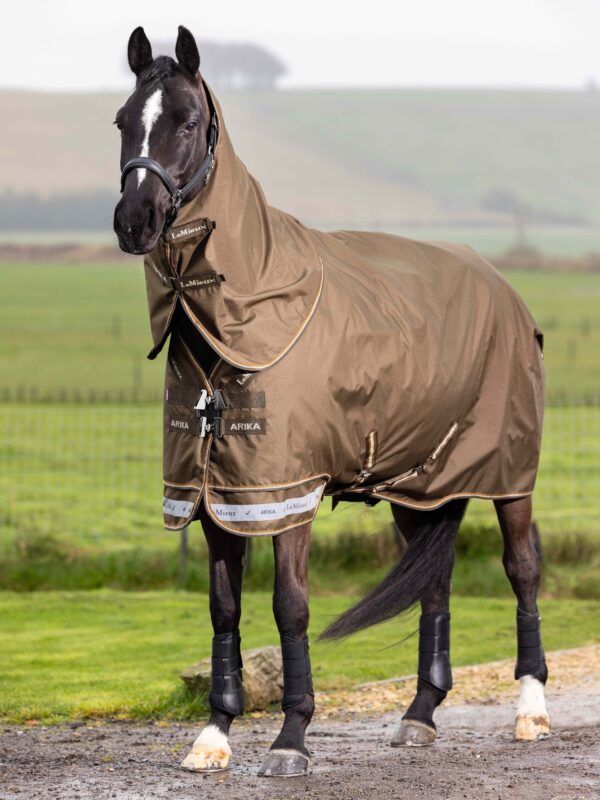 LeMieux Arika Ripstop 200g Turnout Rug in Alpine - view 2