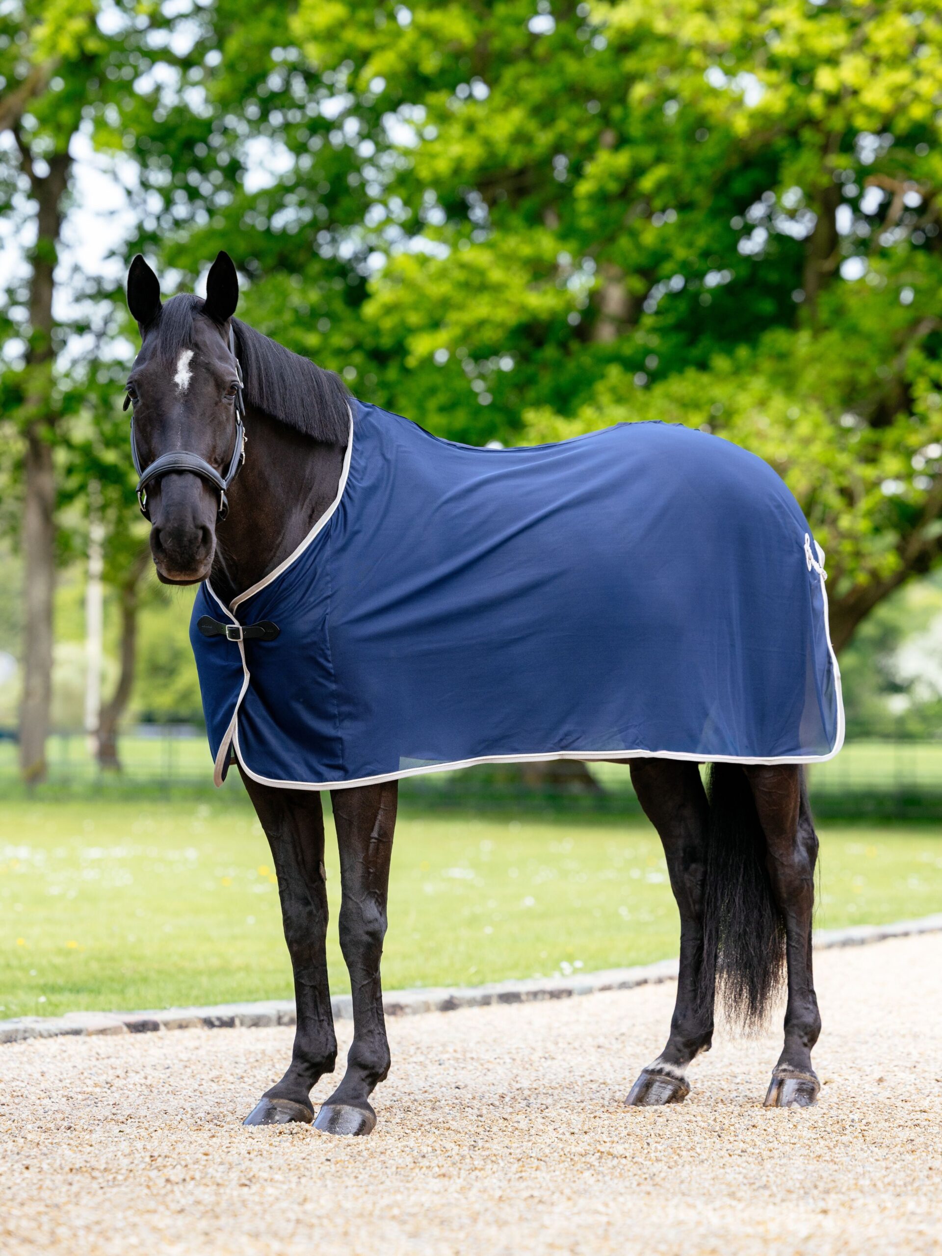 LeMieux Competition Scrim Cooler Rug in Navy – view 1