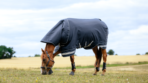 LeMieux Arika Storm-Tek Rug 100g in Navy – view 2