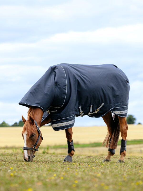LeMieux Arika Storm-Tek Rug 100g in Navy – view 3
