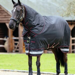 LeMieux Arika Storm-Tek Rug 350g in Black – view 1