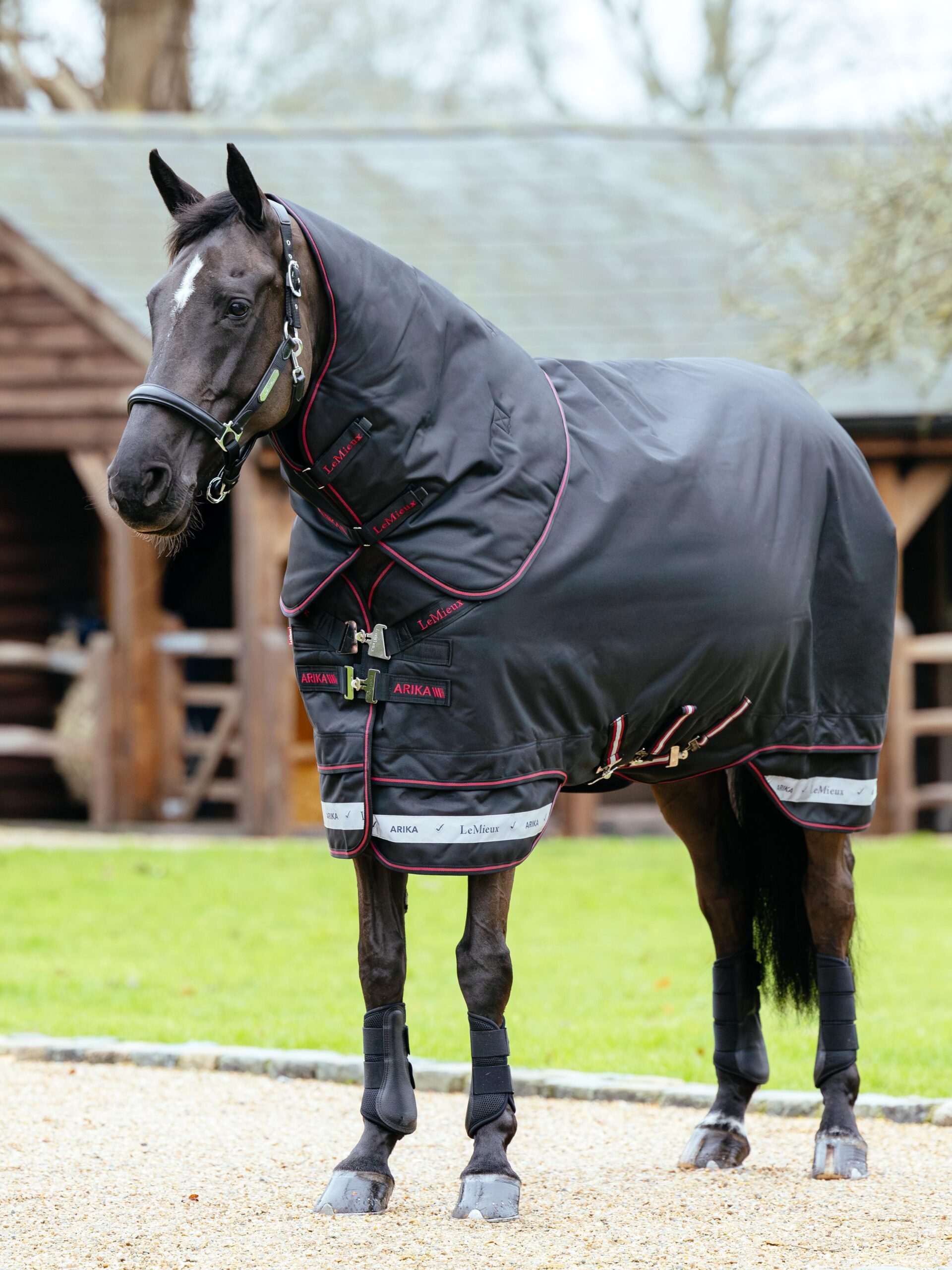 LeMieux Arika Storm-Tek Rug 350g in Black – view 1