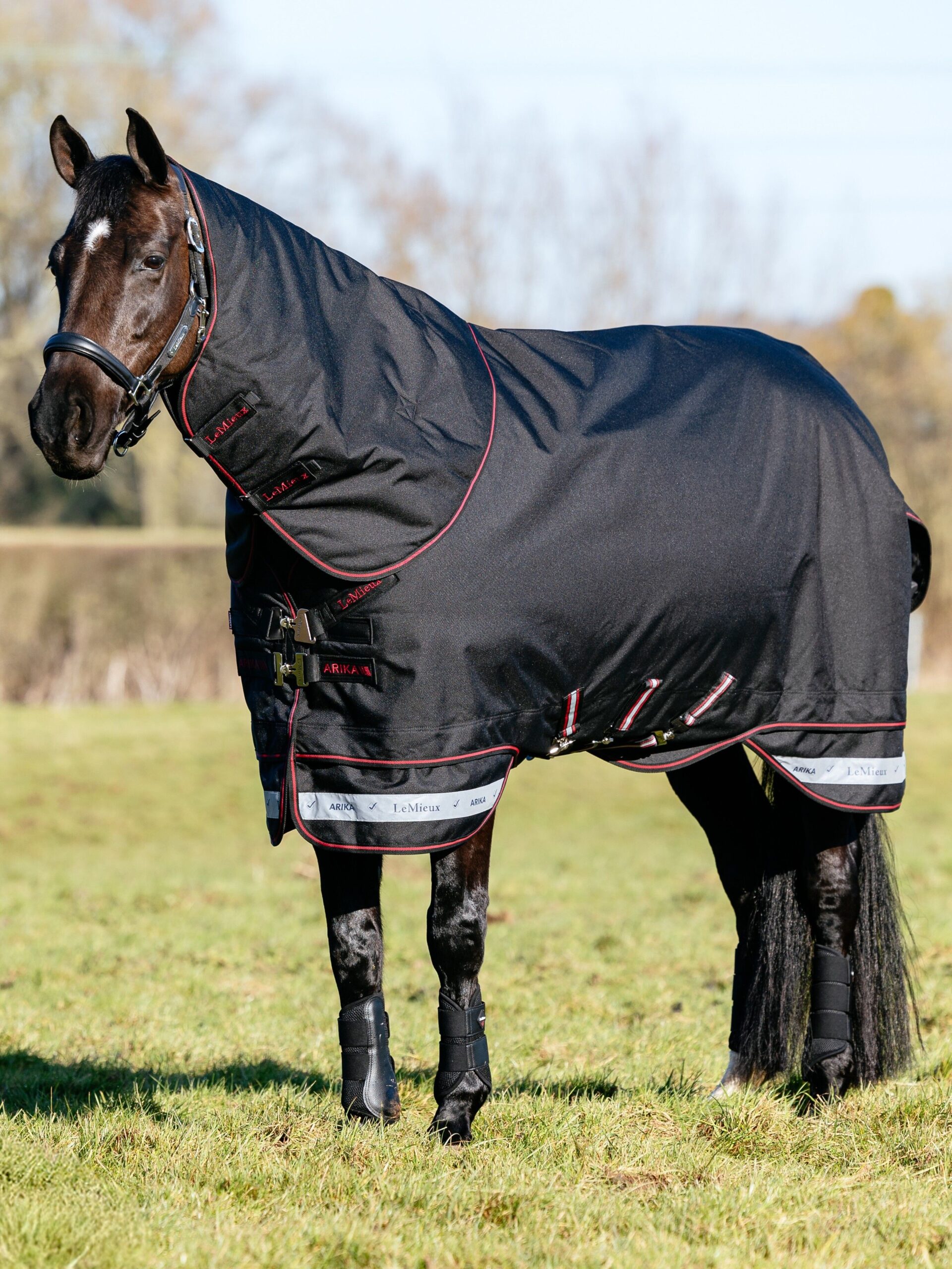 LeMieux Arika Storm-Tek Rug 50g in Black – view 1