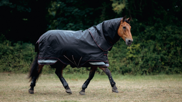 LeMieux Arika Storm-Tek Rug 50g in Black – view 3