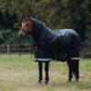 LeMieux Arika Storm-Tek Rug 350g in Black – view 2