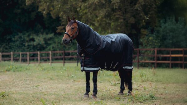 LeMieux Arika Storm-Tek Rug 350g in Black – view 2
