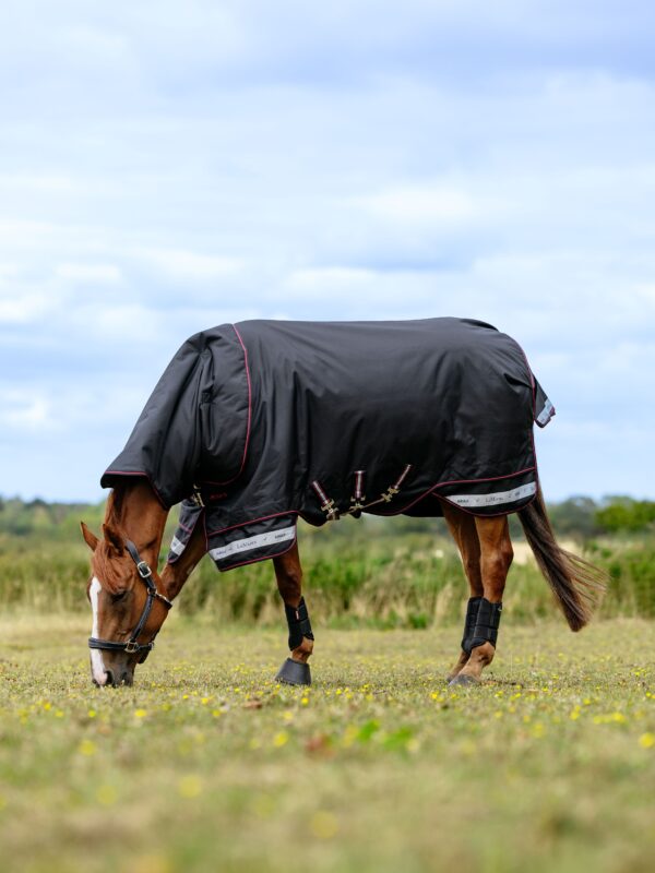 LeMieux Arika Storm-Tek Rug 50g in Black – view 2