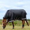 LeMieux Arika Storm-Tek Rug 350g in Black – view 3
